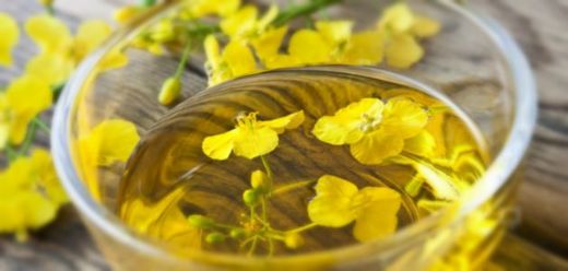 Kantaron Yağı Selülit Kullanımı ve Faydaları Nelerdir?